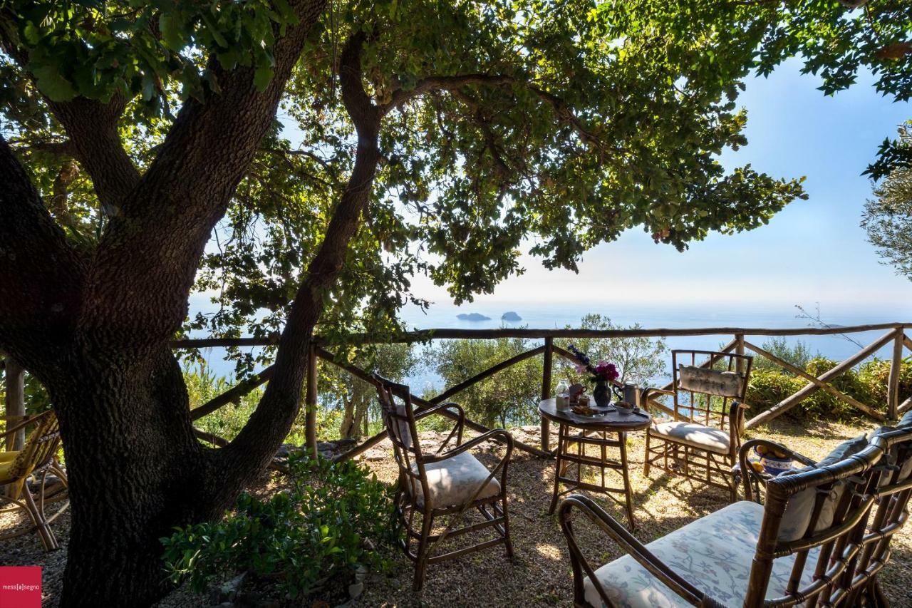 Il Nibbio Apartment Пиано ди Соренто Екстериор снимка